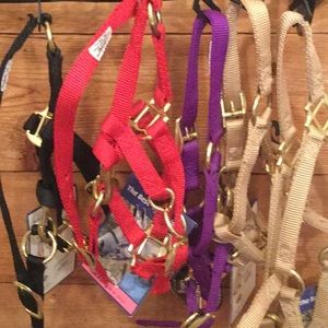 Small horse halters. $8.00 each